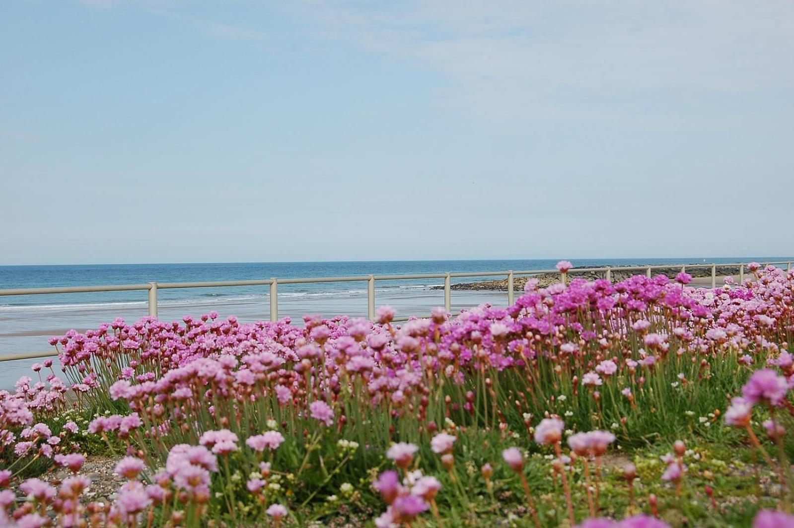 Salt Marsh Apartment Tywyn Dış mekan fotoğraf